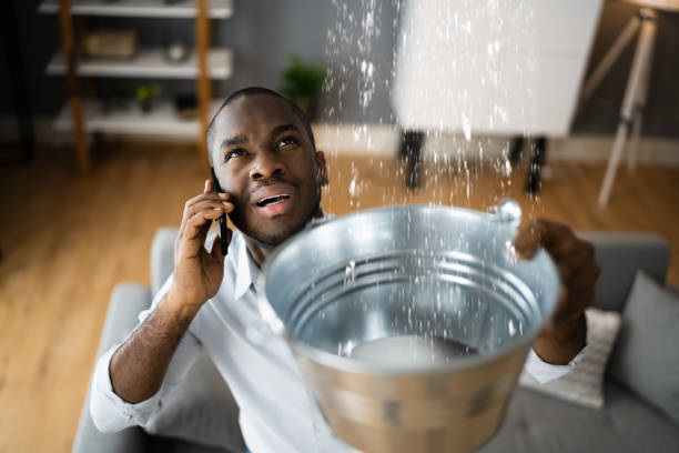 Best 24-hour water damage restoration  in New Bedford, PA
