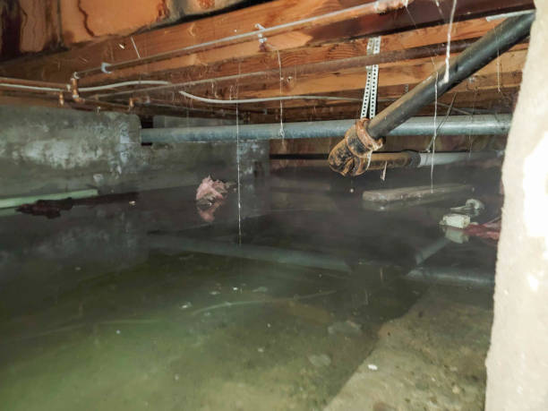 New Bedford, PA Water damage restoration Company