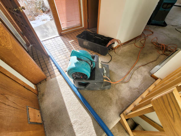 Best Carpet water damage restoration  in New Bedford, PA