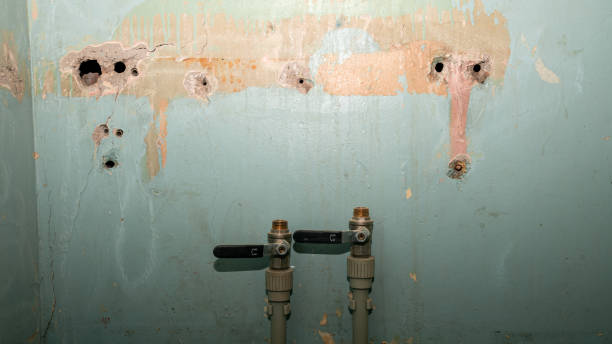Best Water damage restoration experts  in New Bedford, PA