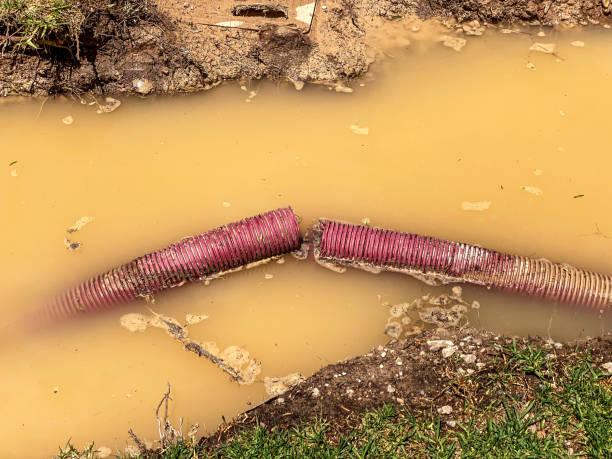Reliable New Bedford, PA Water damage restoration Solutions